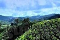 果冻传媒制片厂免费观看-果冻传媒制片厂，免费观影的甜蜜乐园