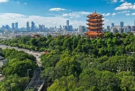 国语三级伦理电影名字-探索国语三级伦理电影的多元视角