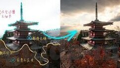麻豆av在线播放-麻豆AV之全球网络内容多元体验探索