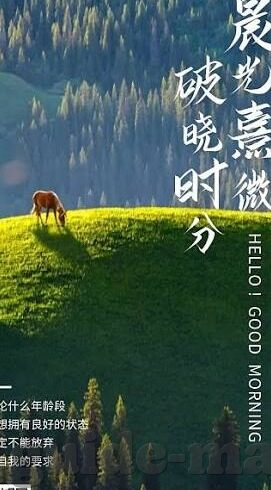 麻豆传媒影视映画-洞察麻豆传媒影视映画——文化消费的微缩镜像