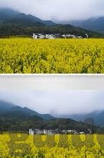 糖心vlog网站地址在线-以糖心Vlog，收录多样生活方式，分享生活美学的在线平台为题的叙述